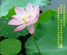 Published on 2/14/2013 ���ֹ�,��½�󷨵��ӹ�ףʦ������ã�45����
