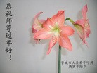 Published on 2/14/2013 ���ֹ�,��½�󷨵��ӹ�ףʦ������ã�45����
