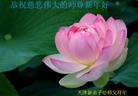 Published on 2/14/2013 ���ֹ�,��½�󷨵��ӹ�ףʦ������ã�45����

