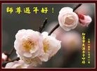 Published on 2/14/2013 ���ֹ�,��½�󷨵��ӹ�ףʦ������ã�45����
