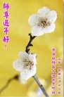 Published on 2/14/2013 ���ֹ�,��½�󷨵��ӹ�ףʦ������ã�45����
