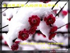 Published on 2/14/2013 ���ֹ�,��½�󷨵��ӹ�ףʦ������ã�45����
