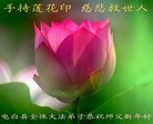 Published on 2/14/2013 ���ֹ�,��½�󷨵��ӹ�ףʦ������ã�45����
