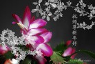 Published on 2/14/2013 ���ֹ�,��½�󷨵��ӹ�ףʦ������ã�45����
