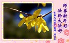 Published on 2/14/2013 ���ֹ�,��½�󷨵��ӹ�ףʦ������ã�45����
