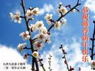 Published on 2/14/2013 ���ֹ�,��½�󷨵��ӹ�ףʦ������ã�45����
