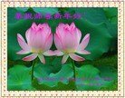 Published on 2/14/2013 ���ֹ�,��½�󷨵��ӹ�ףʦ������ã�45����
