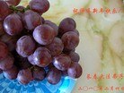 Published on 2/14/2013 ���ֹ�,��½�󷨵��ӹ�ףʦ������ã�45����
