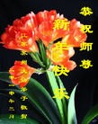 Published on 2/14/2013 ���ֹ�,��½�󷨵��ӹ�ףʦ������ã�45����

