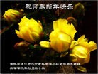 Published on 2/14/2013 ���ֹ�,��½�󷨵��ӹ�ףʦ������ã�45����
