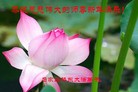 Published on 2/14/2013 ���ֹ�,��½�󷨵��ӹ�ףʦ������ã�45����
