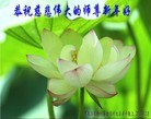Published on 2/14/2013 ���ֹ�,��½�󷨵��ӹ�ףʦ������ã�45����

