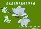 Published on 2/14/2013 ���ֹ�,��½�󷨵��ӹ�ףʦ������ã�45����
