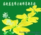 Published on 2/14/2013 ���ֹ�,��½�󷨵��ӹ�ףʦ������ã�45����
