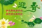 Published on 2/14/2013 ���ֹ�,��½�󷨵��ӹ�ףʦ������ã�45����
