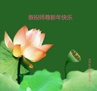 Published on 2/3/2011 ���ֹ�,��½�󷨵��ӹ�ףʦ������ã��壬218�أ� - ���ִ�������
