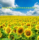 Published on 1/1/2012 ���ֹ�,��½�󷨵��ӹ�ףʦ��Ԫ�����֣��壩 - ���ִ�������
