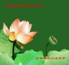 Published on 1/1/2012 ���ֹ�,��½�󷨵��ӹ�ףʦ��Ԫ�����֣��ģ� - ���ִ�������
