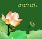 Published on 1/1/2012 ���ֹ�,��½�󷨵��ӹ�ףʦ��Ԫ�����֣����� - ���ִ�������
