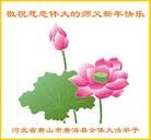 Published on 2/3/2011 ���ֹ�,��½�󷨵��ӹ�ףʦ�������(ʮ����263��) - ���ִ�������
