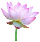 Published on 2/4/2011 ���ֹ�,��½�󷨵��ӹ�ףʦ��������֣�ʮ�ˣ�262�أ� - ���ִ�������
