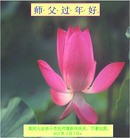 Published on 2/4/2011 ���ֹ�,��½�󷨵��ӹ�ףʦ��������֣���ʮ����160�أ� - ���ִ�������
