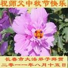 Published on 9/12/2011 ���ֹ�,��½�󷨵��ӹ�ףʦ��������֣�138���� - ���ִ�������
