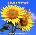 Published on 9/12/2011 ���ֹ�,��½�󷨵��ӹ�ףʦ��������֣�160���� - ���ִ�������
