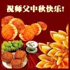 Published on 9/12/2011 ���ֹ�,��½�󷨵��ӹ�ףʦ��������֣�105���� - ���ִ�������
