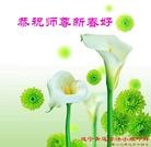 ���ֹ�,���ϴ󷨵��ӹ�ףʦ��������֣�164���� - ���ִ�������
