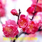 ���ֹ�,��½�󷨵��ӹ�ףʦ������ã�144���� - ���ִ�������
