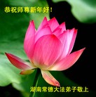 ���ֹ�,���д󷨵��ӹ�ףʦ�����ã�155���� - ���ִ�������
