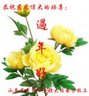 Published on 1/23/2012 ���ֹ�,��½�󷨵��ӹ�ףʦ������ã�172���� - ���ִ�������
