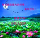 Published on 1/22/2012 ���ֹ�,��½�󷨵��ӹ�ףʦ������ã�156���� - ���ִ�������
