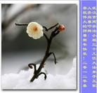 ���ֹ�,���д󷨵��ӹ�ףʦ�����ã�155���� - ���ִ�������
