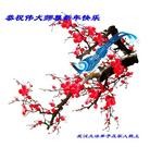 ���ֹ�,���д󷨵��ӹ�ףʦ�����ã�155���� - ���ִ�������
