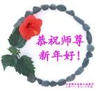 Published on 1/24/2012 ���ֹ�,��½�󷨵��ӹ�ףʦ������ã�192���� - ���ִ�������
