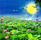 Published on 1/24/2012 ���ֹ�,��½�󷨵��ӹ�ףʦ��������֣�196���� - ���ִ�������
