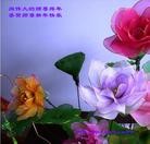 Published on 1/24/2012 ���ֹ�,��½�󷨵��ӹ�ףʦ������ã�163���� - ���ִ�������
