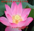 Published on 1/24/2012 ���ֹ�,��½�󷨵��ӹ�ףʦ��������֣�152���� - ���ִ�������
