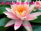 Published on 1/1/2013 ���ֹ�,С���ӹ�ףʦ�������
