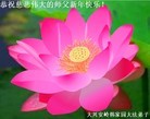 Published on 1/1/2013 ���ֹ�,��½�󷨵��ӹ�ףʦ��Ԫ�����֣�110����
