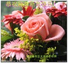 ���ֹ�,��½�󷨵��ӹ�ףʦ��Ԫ�����֣�85����
