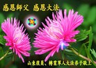 Published on 1/1/2013 ���ֹ�,��½������˾��ϵͳ�󷨵��ӹ�ףʦ�������
