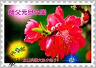 Published on 1/1/2013 ���ֹ�,С���ӹ�ףʦ�������
