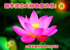 Published on 1/1/2013 ���ֹ�,���������˹�ף���־��ʦ�����
