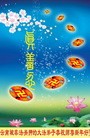 Published on 1/1/2013 ���ֹ�,���Ƿ���Ѻ�Ĵ󷨵��ӹ�ףʦ�������
