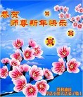 Published on 1/1/2013 ���ֹ�,�й�����ҵ�󷨵��ӹ�ףʦ��Ԫ������
