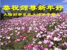 Published on 1/1/2013 ���ֹ�,�й�����ҵ�󷨵��ӹ�ףʦ��Ԫ������
