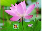 Published on 1/1/2013 ���ֹ�,��½�������󷨵��ӹ�ףʦ�������
